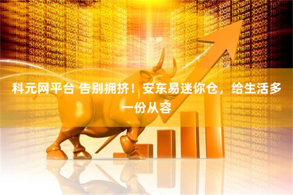 科元网平台 告别拥挤！安东易迷你仓，给生活多一份从容