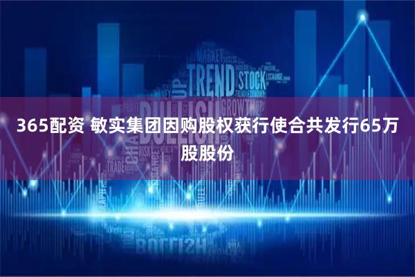 365配资 敏实集团因购股权获行使合共发行65万股股份